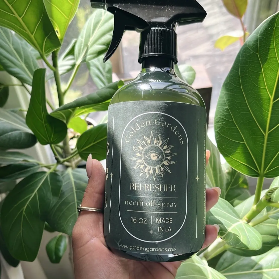 Golden Gardens Refresher Neem Leaf Shine Spray - 16 oz Gentle Formula for Fresh Clean Vibrant Leaves - Natural Ingredients Dust Remover for Indoor Outdoor Plants