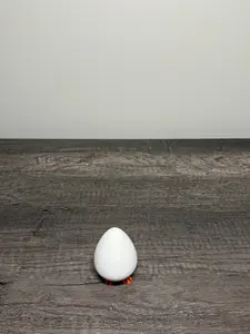 🥚Fidget Egg 🥚