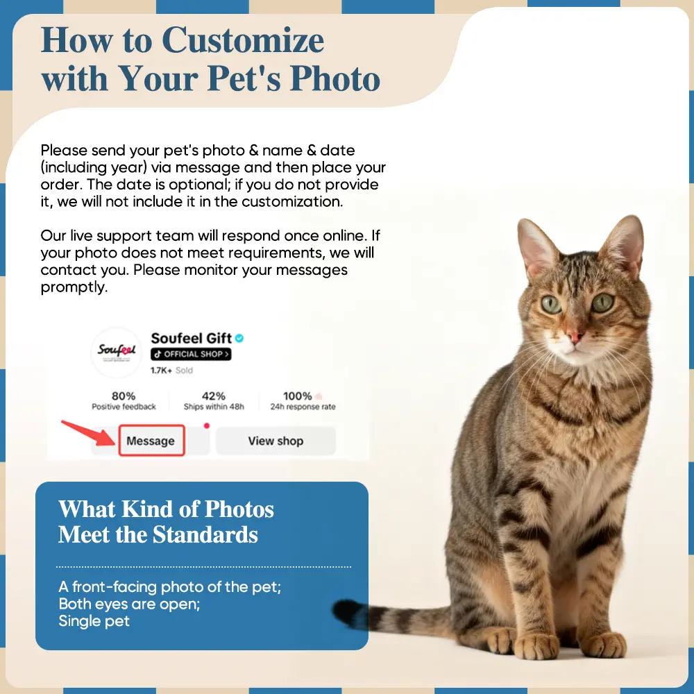 40s Video (Feeding and Licking Paws Scenes)