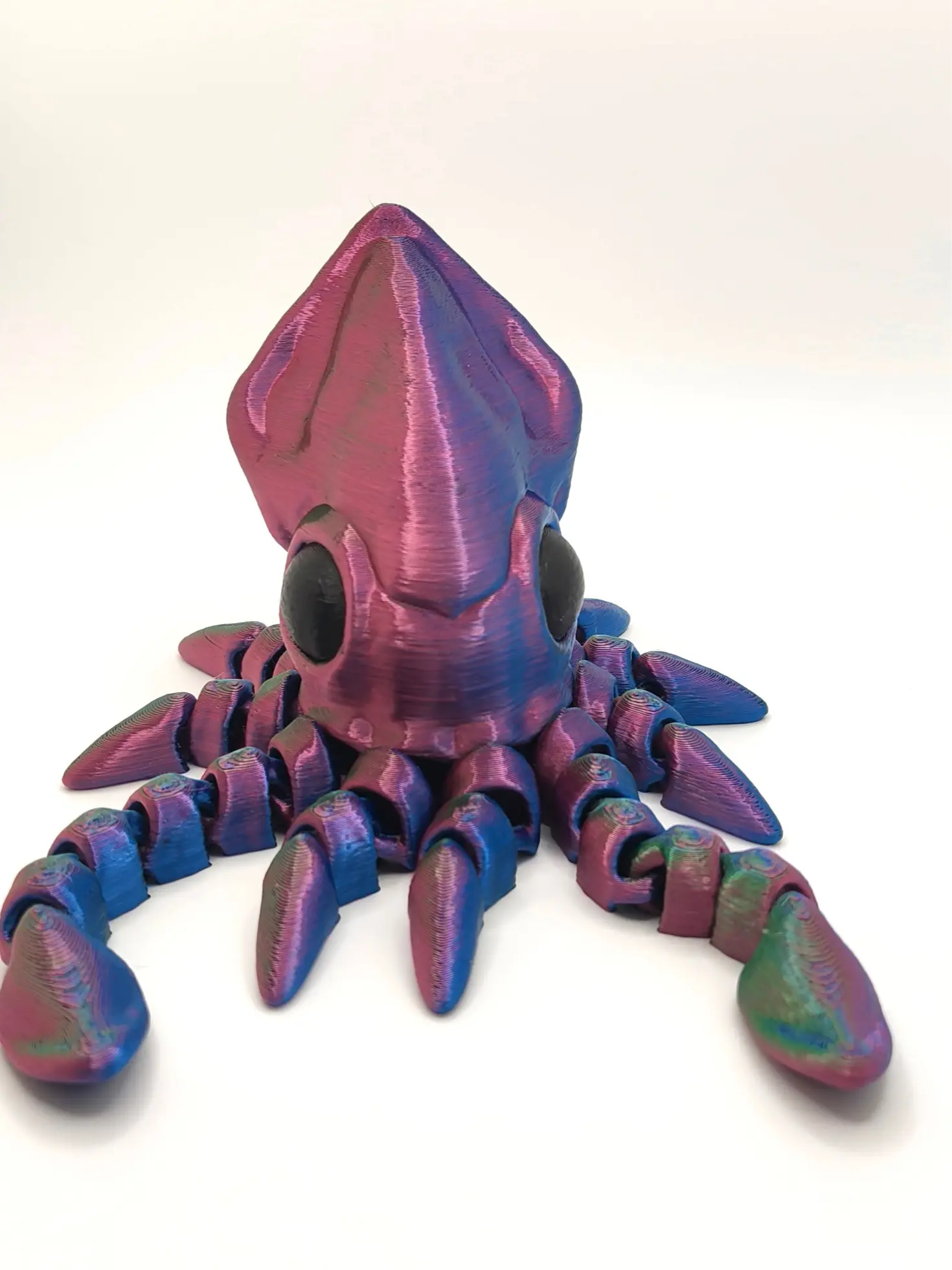 Squid