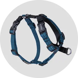 Wildebeest Valencia No Pull Dog Harness | Front-Clip or Back Leash Attachment | Non-restrictive, Easy On/Off, Padded Webbing
