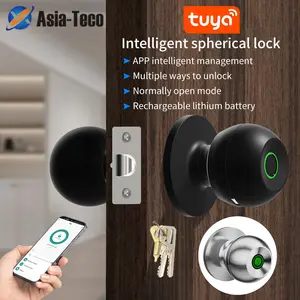 Smart Fingerprint Door Lock, Biometric Handle, APP Control, Keyless Auto-Lock for Bedroom & Office, Advanced Security System