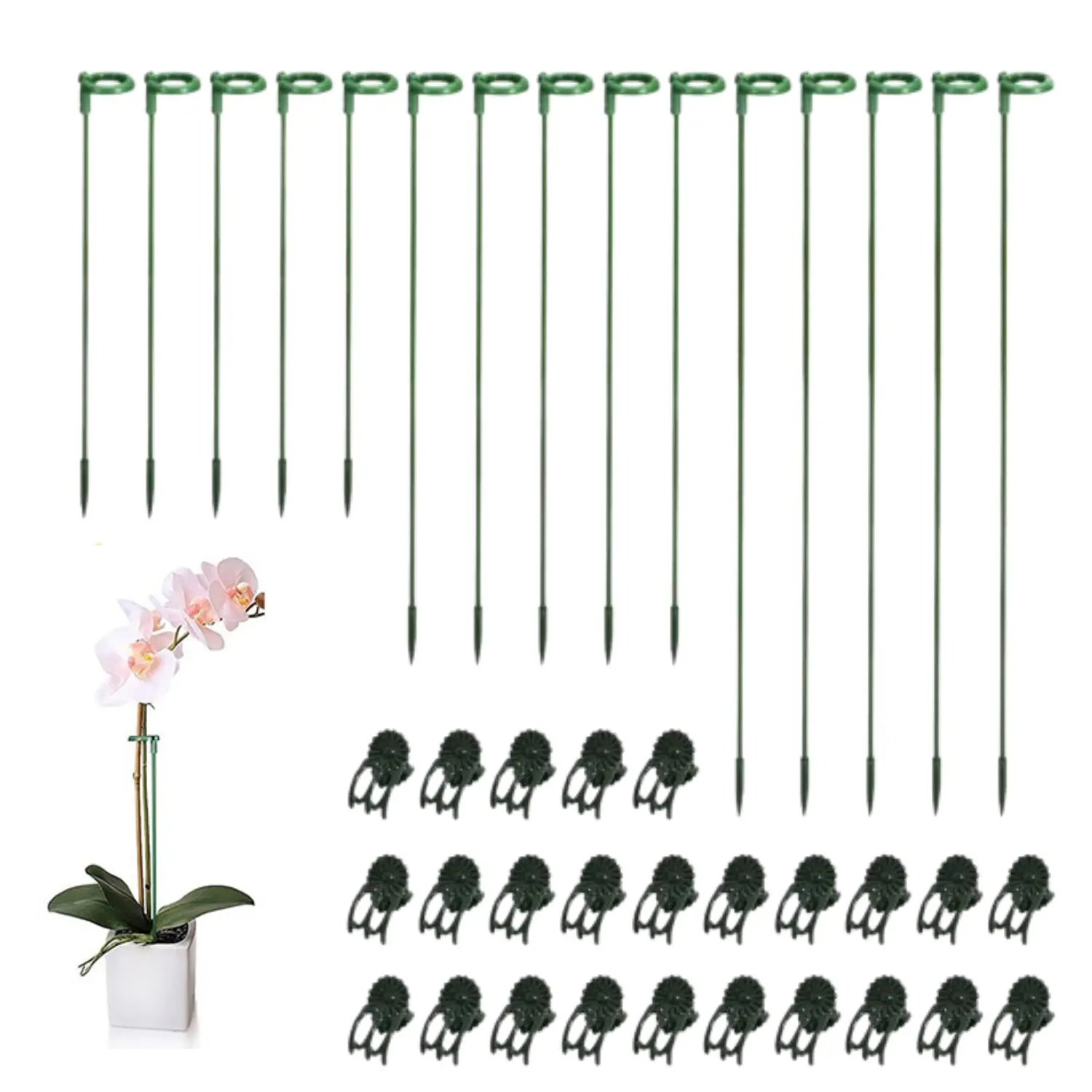 30 PCS Plant Stakes Green (14.57/10.63/6.69in) Three sizes Garden Single Stem Plant Support Stakes Plant Support Sticks with Rings for Indoor and Outdoor Plants,Flowers,Tomatoes with 30 Pcs Plant Clips coir pole peony cages