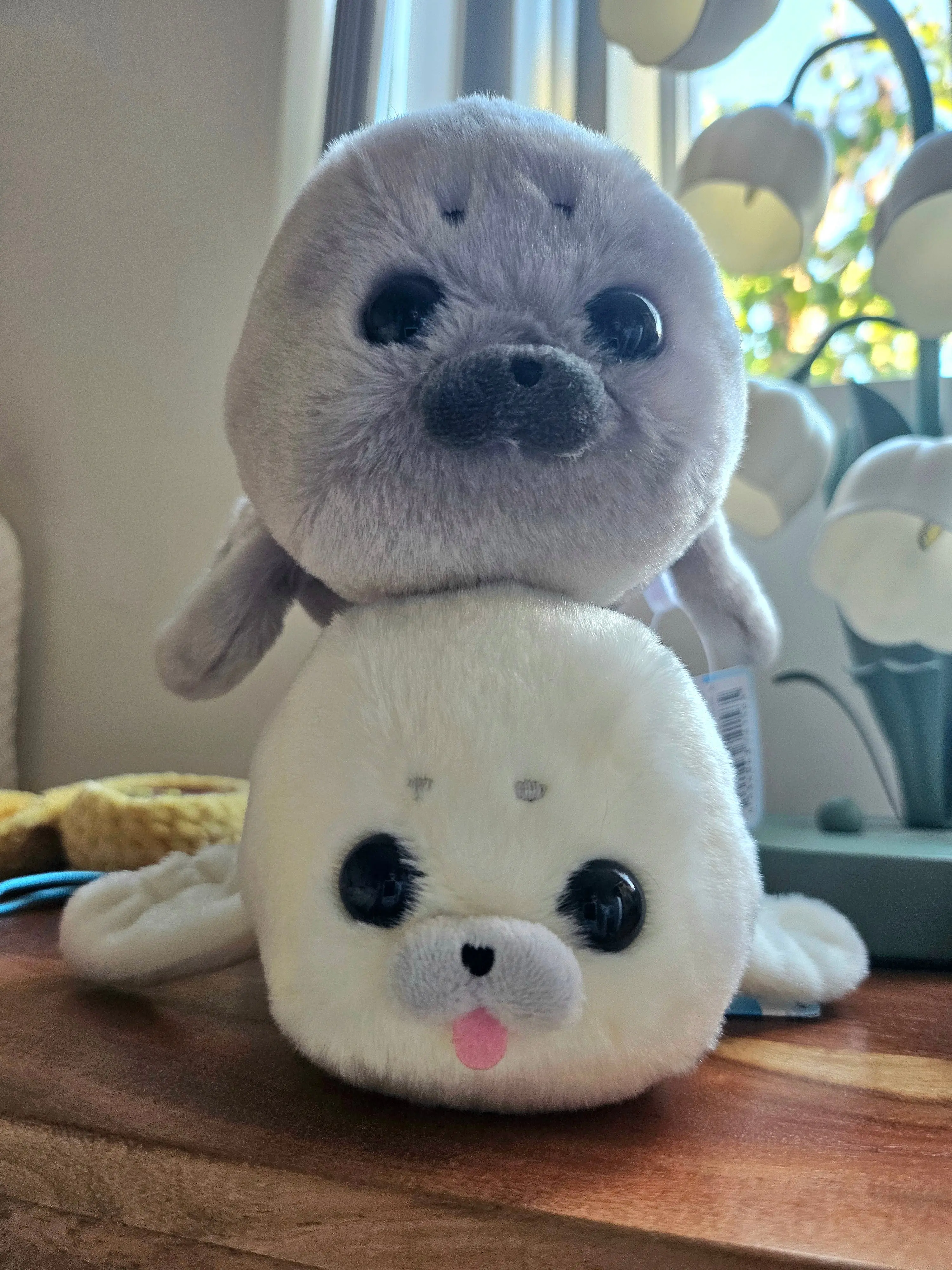 Medium Howa Howa Artic Seal - Adorable 24cm Plushies