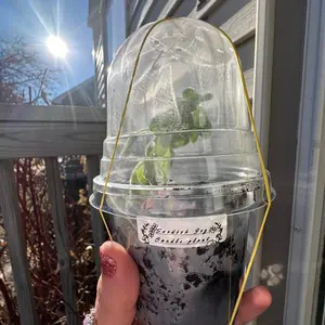 Plant Clippings from a range of varieties