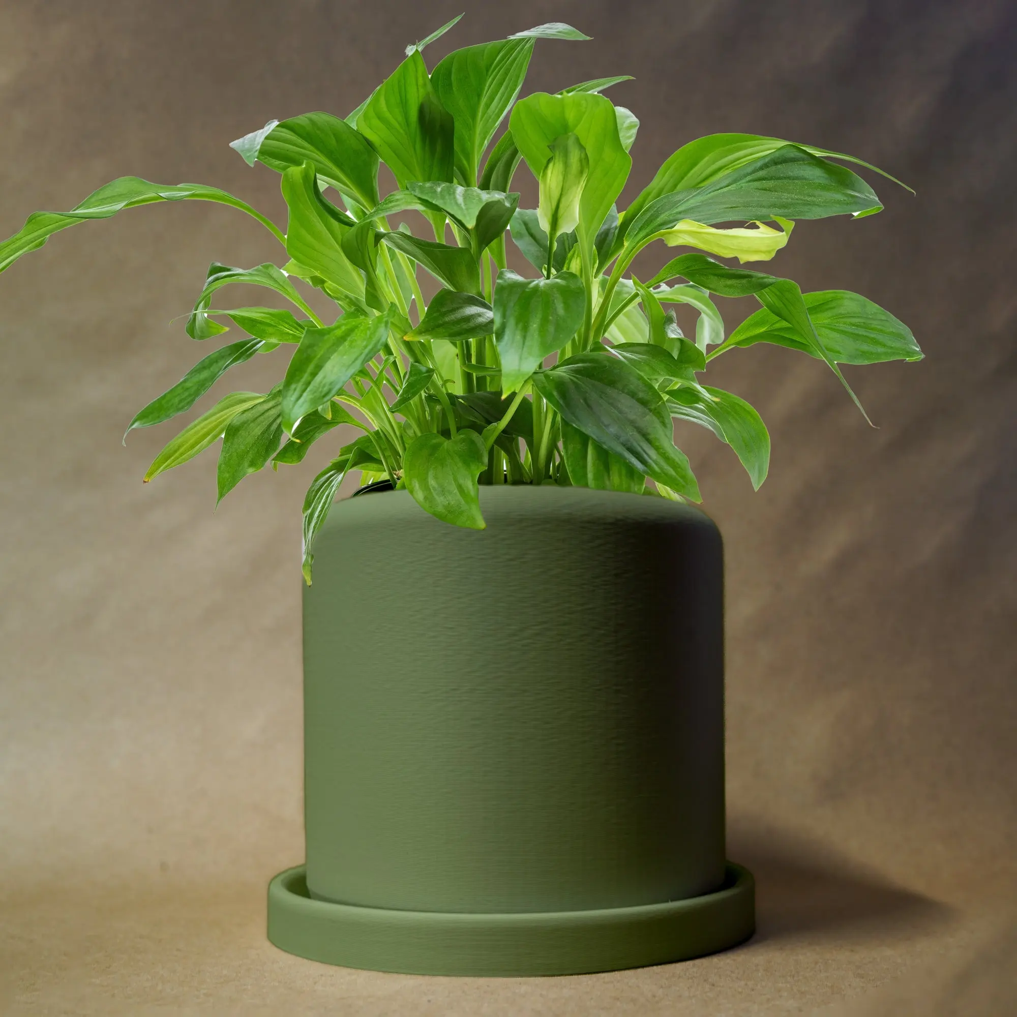 Round Planter with Drainage and Drip Tray, Multiple Sizes and Colors
