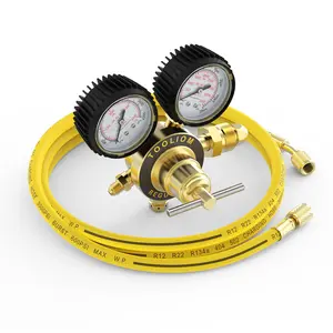 TOOLIOM Heavy Duty Nitrogen Regulator, CGA580 Inlet, 0-600 PSI Delivery Pressure, Brass Handle & 6.6ft Hose, 1/4" Male Flare Outlet, Ideal for HVAC Purging, Pressure Testing, Brazing and Soldering