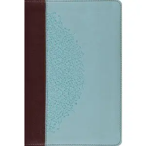 USED-Study Bible-ESV-Ivy Design by Crossway (Paperback)