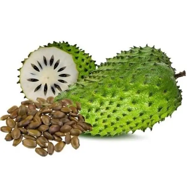 5 Soursop Fruit Tree Seeds for Growing - Great for Bonsai