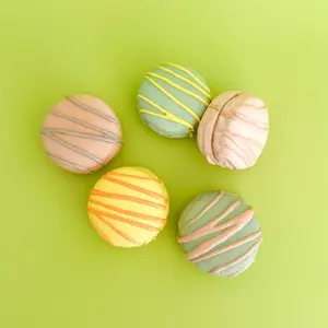 Ceramic Macaron Cabinet Knobs - Perfect for Your Home Decor