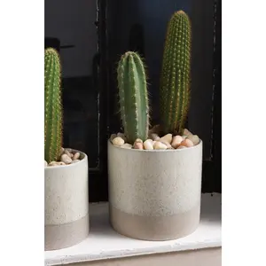 Downy Pot 5.5"x 5"
