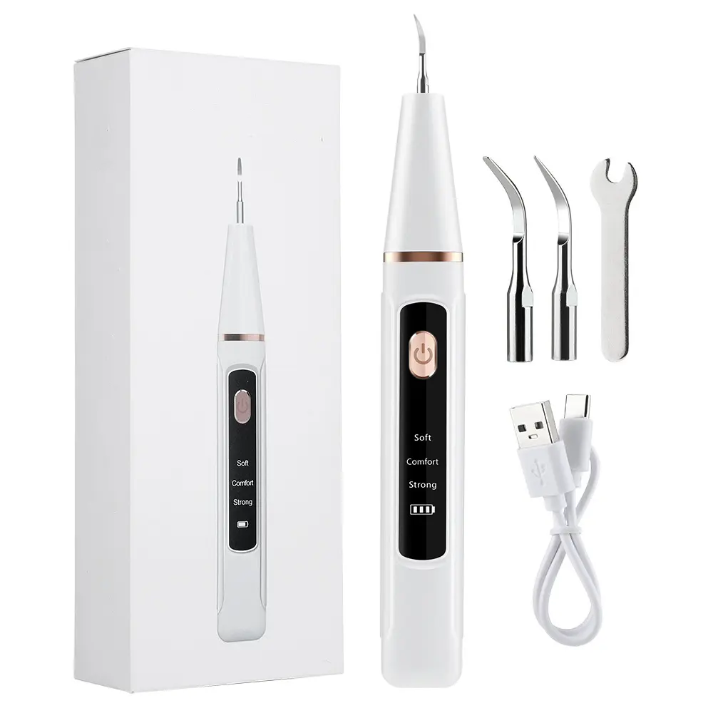 Electric Teeth Cleaner, Teeth Cleaner Set with 3 Cleaning Modes, 2 Replacement Heads, LED Light, USB Rechargeable, Gift for Family and Friends