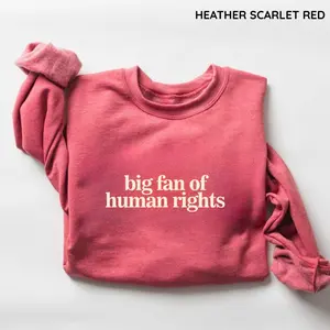 Big Fan of Human Rights Sweatshirt, Equality Graphic Sweater, Social Justice Activism Crew Neck Top, Political Protest Outfit