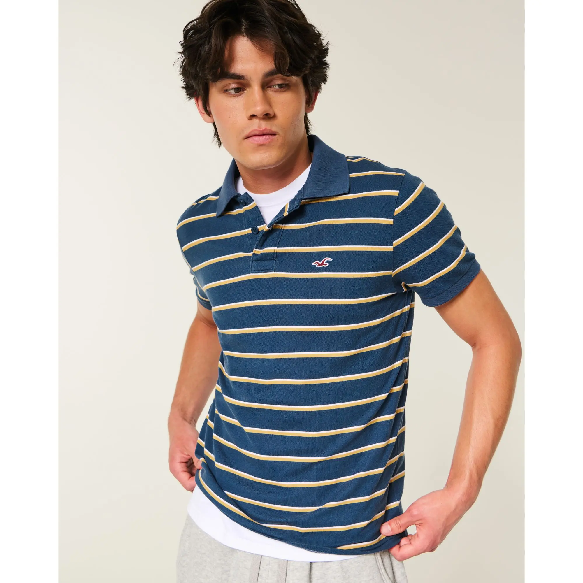 Hollister Icon Polo