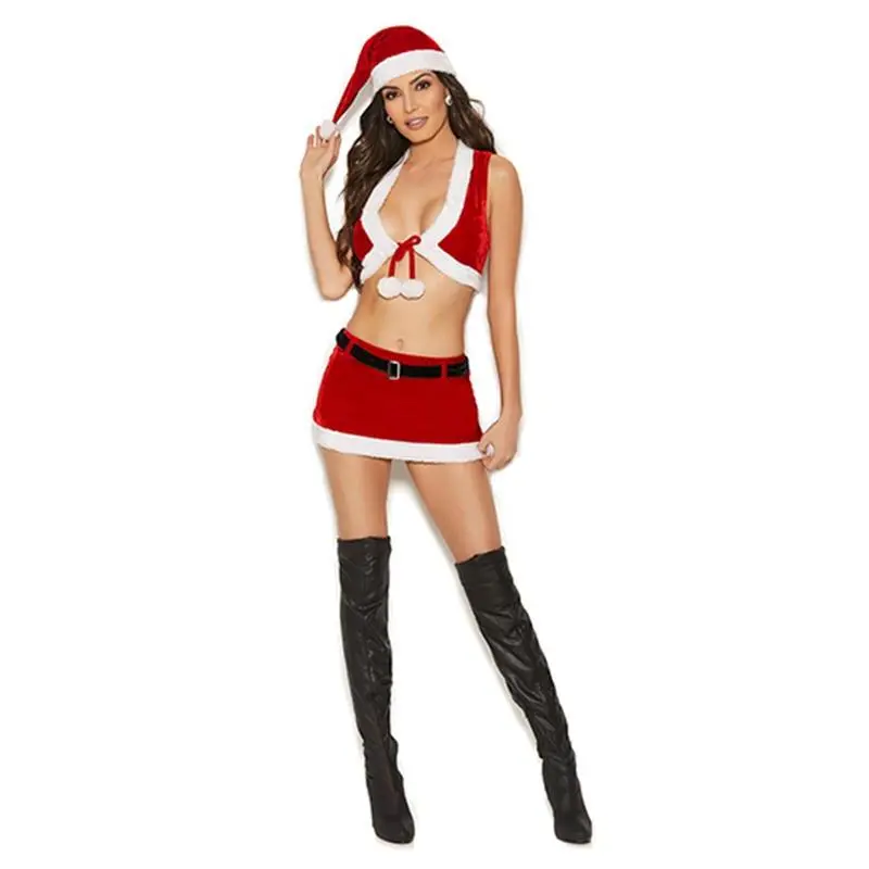 Sexy Happy Holidays Santa Costume