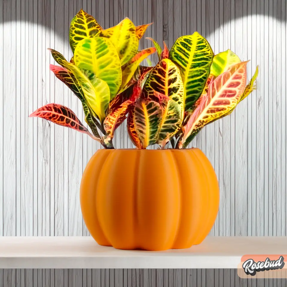Pumpkin Plant Pot with Drainage and Drip Tray