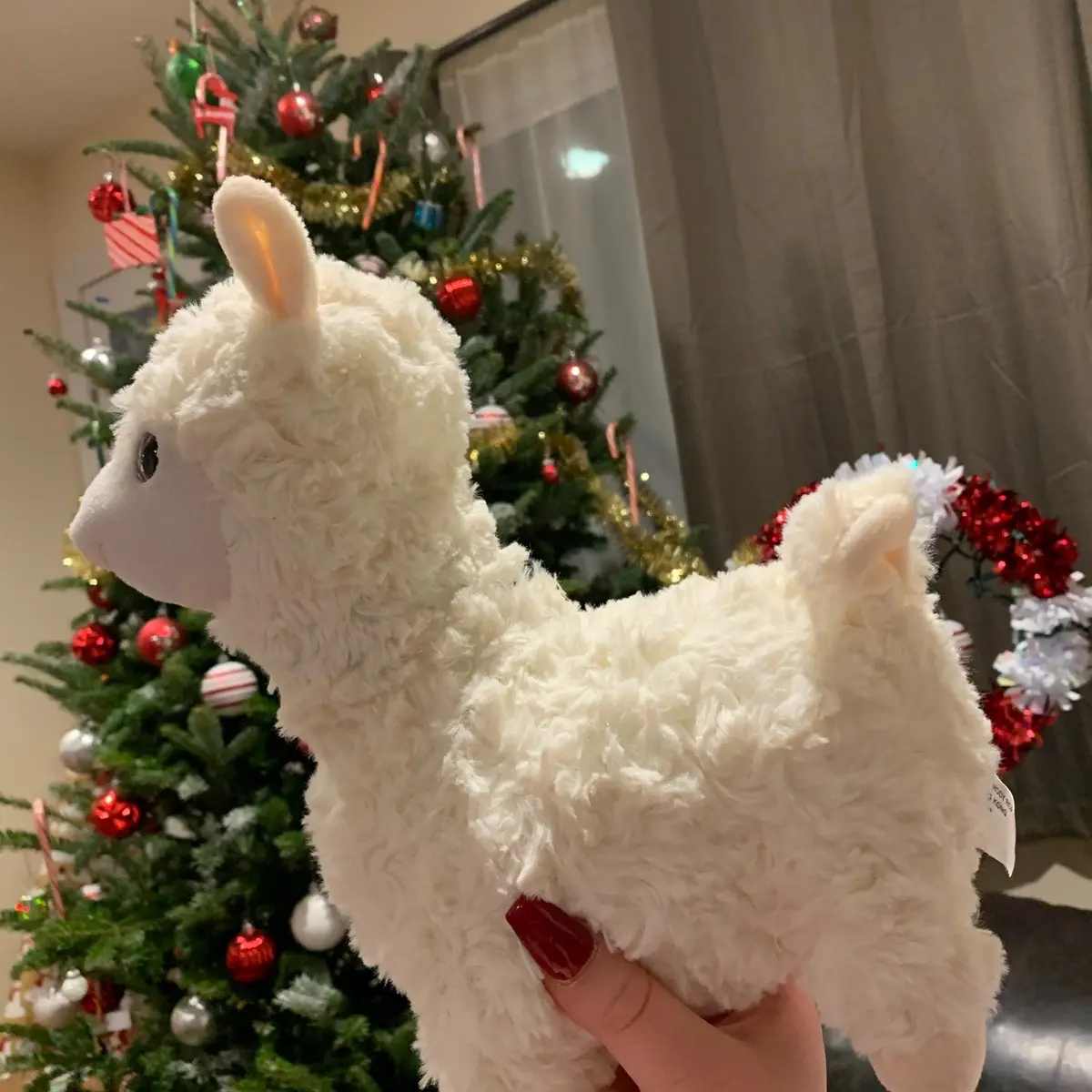 Llama Stash Jar for Adults and Piggy Bank for Children Plastic With Lid Storage