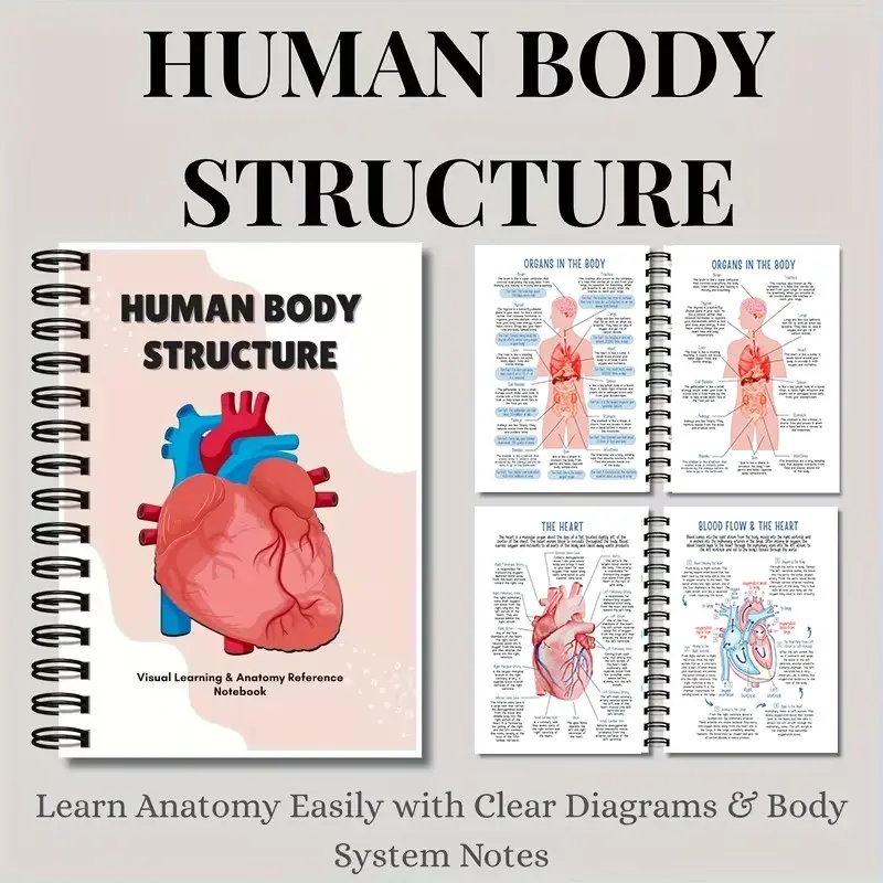 Anatomy Study Notebook, Clear Illustrated Human Structure, Medical Students & Science Enthusiasts, Visual Anatomy Practice Book, Spiral Notebook