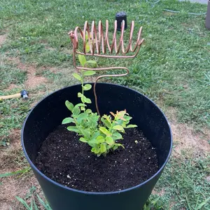 Edison Coil Copper Electroculture Rod - 100% Pure Copper Hand-Bent Rod for Plant Growth & Root Strength - Rust-Resistant & Weather-Durable - Inspired by Thomas Edison's Innovations