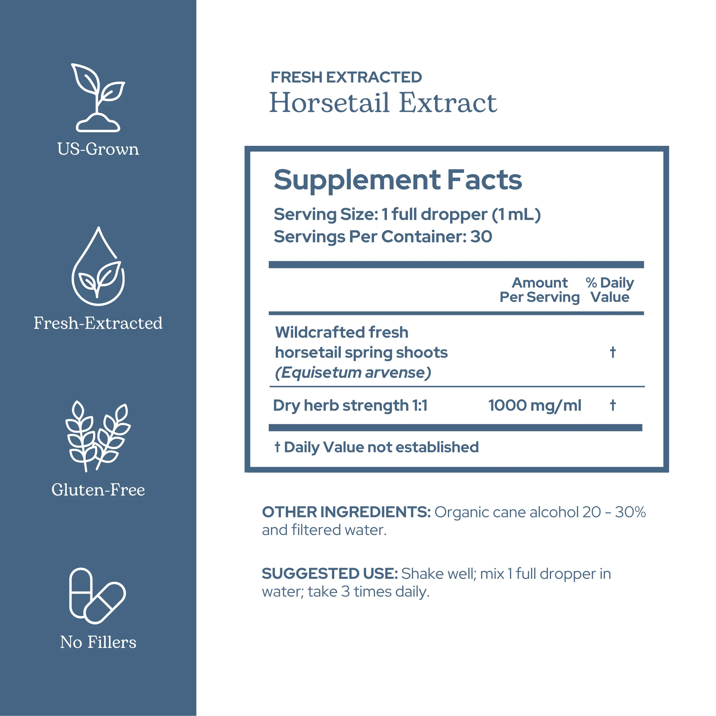 Eclectic Herb Horsetail Extract 2 oz - Supports Urinary Tract Health - Non-GMO, Gluten-Free, Soy-Free & Dairy-Free - 100% Pure Herbal Supplement