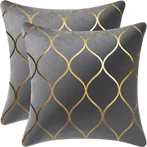 Gold Velvet Throw Pillow Covers: 2 Pack 18X18 Inch Square Decorative Pillow Cases for Bedroom Sofa Couch Living Room, Light Grey DEZENE
