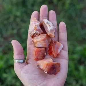 Down To Earth Carnelian Raw 1.5"-2" Rough Stones for Sacral Chakra Healing & Grounding Enhances Energy Vitality & Creativity Fire Element Astrological Signs Cancer & Leo