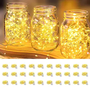 LED Fairy Lights String, Super Bright Led 10ft  Each individual LED strip is two meters long, with a total of 30 strips Leds Warm /cold /rainbow Colors, USB Powered Remote Control Firefly Light for Christmas Wedding Party outdoorfun