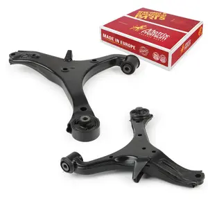 Front Left & Right Lower Control Arm Kit 95163MT