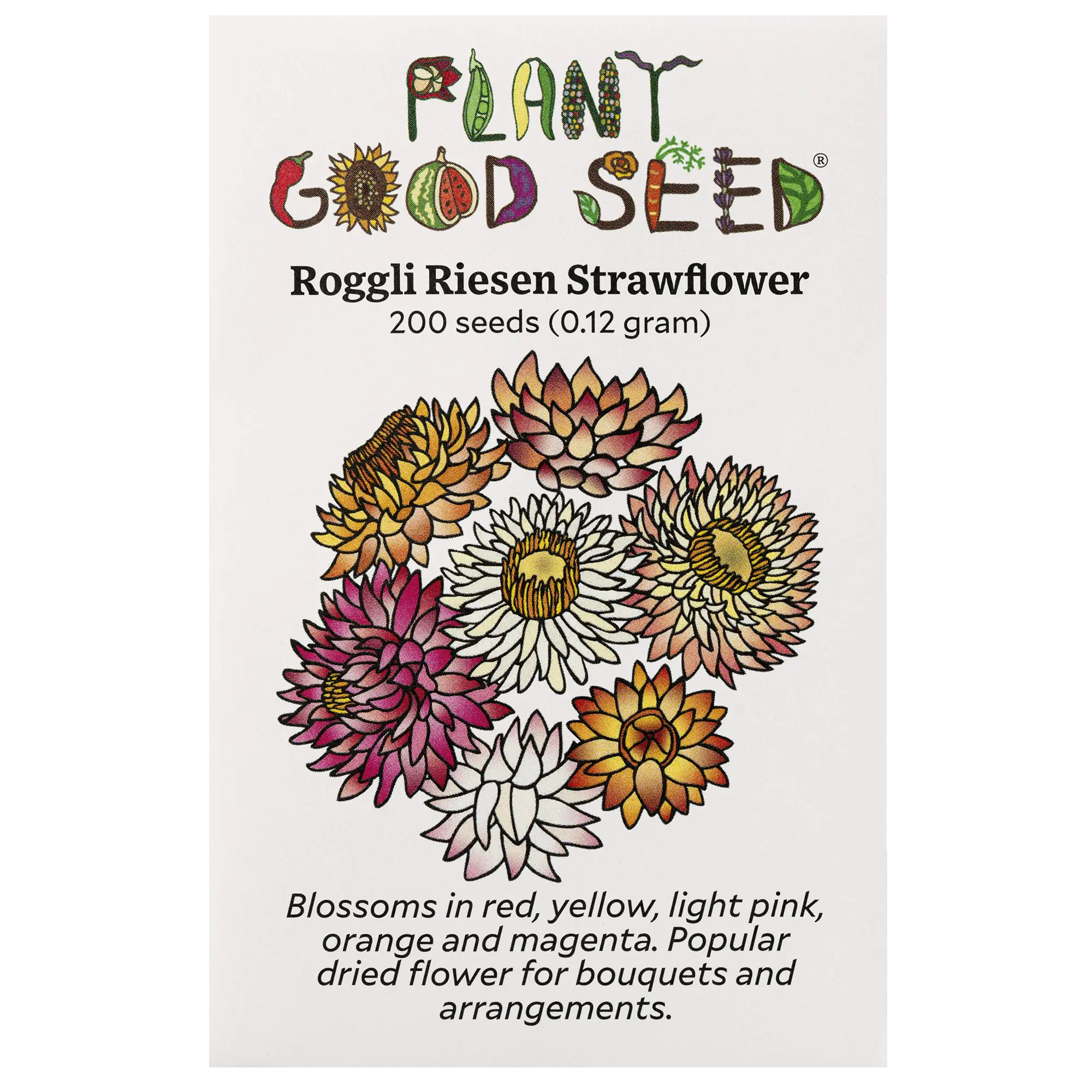 Roggli Riesen Strawflower Seeds for Planting: Home Planting, Mixed Color Wildflower, Certified Organic Seed Varieties - 200 Seed Packet / Bulk Pack