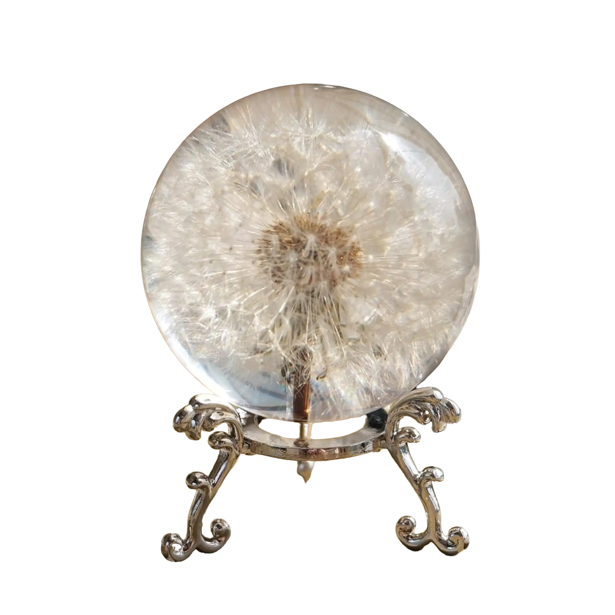 Real Dandelion Resin Paperweight 60mm, Crystal Clear Wish Ball Decor, Unique Desk & Home Decoration, Meaningful Gift for Birthday, Wedding, Graduation, Memorial Keepsake