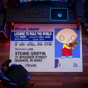 Funny Driving License Carpet, Anime Design Rug, Unique Humorous Living Room Game Room Decor, Soft Plush Foot Mat for Bedroom Closet Vanity Area