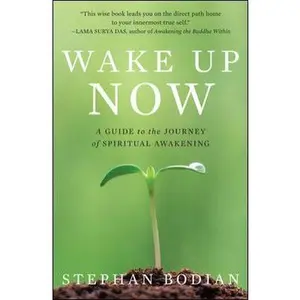 USED-Wake Up Now: A Guide to the Journey of Spiritual Awakening by Stephan Bodian (Hardcover)