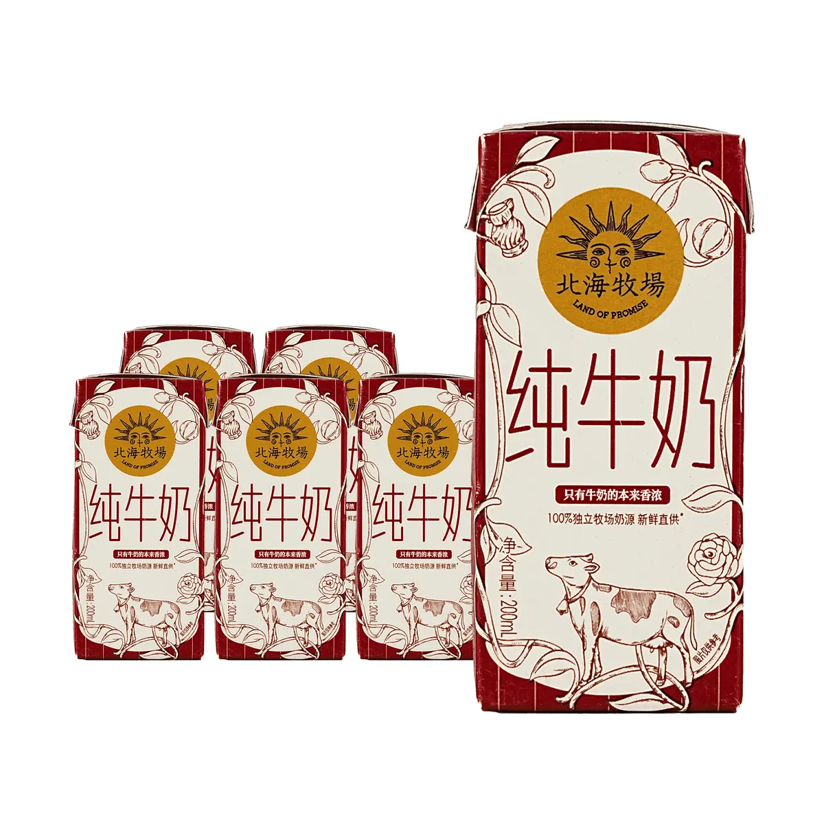 BHMC 100% Pure Whole Milk - Extra Creamy, Original Flavor, 200ml Cartons (6-Pack) - High Calcium & Protein, Perfect for Breakfast