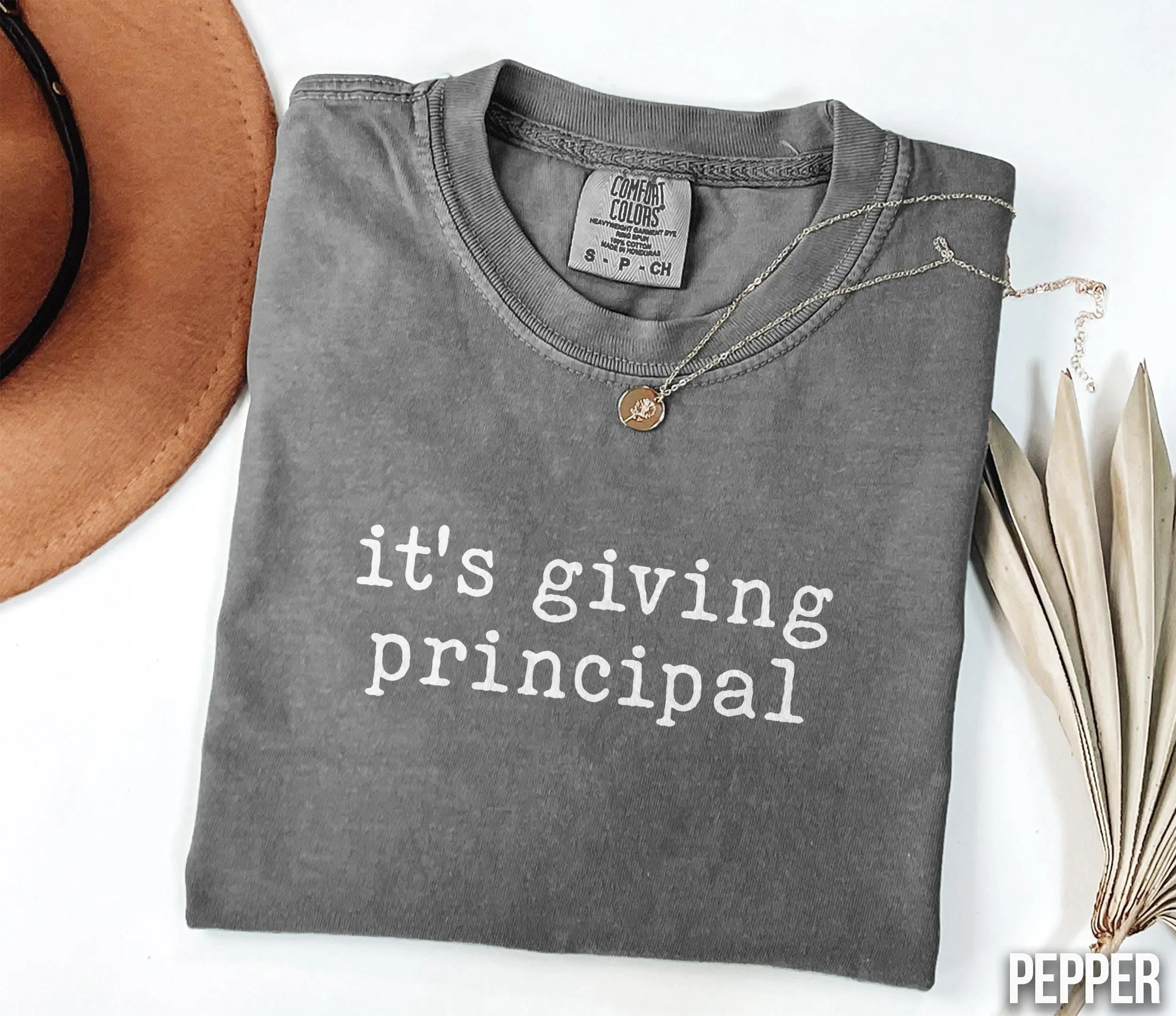 Comfort Colors Principal Shirts, School Principal Gifts for School Staff Shirts, Teacher Team Group Shirts, Assistant Principal Shirt Fit Tee Top Unisex