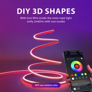 HEDCINLT USB Powered LED Neon Lights with Remote APP Control 32.8FT Waterproof Flexible RGB Rope Lights for Bedroom Room Outdoors Décor DIY 3D Shapes with Iron Wire Inside