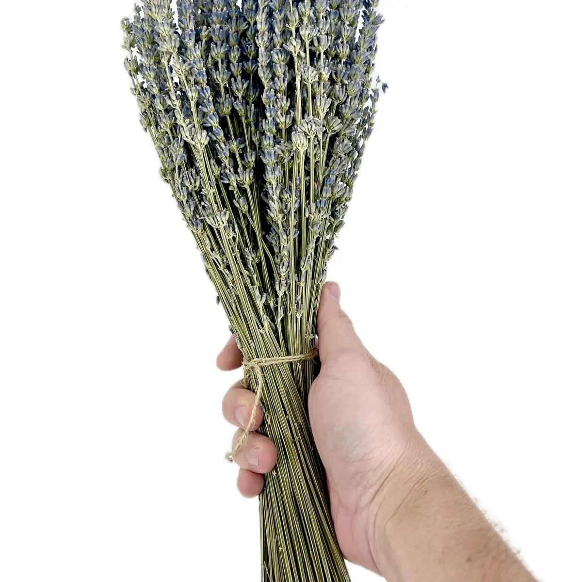 Dried Lavender Bundle - Real Fragrant Lavender Bunch