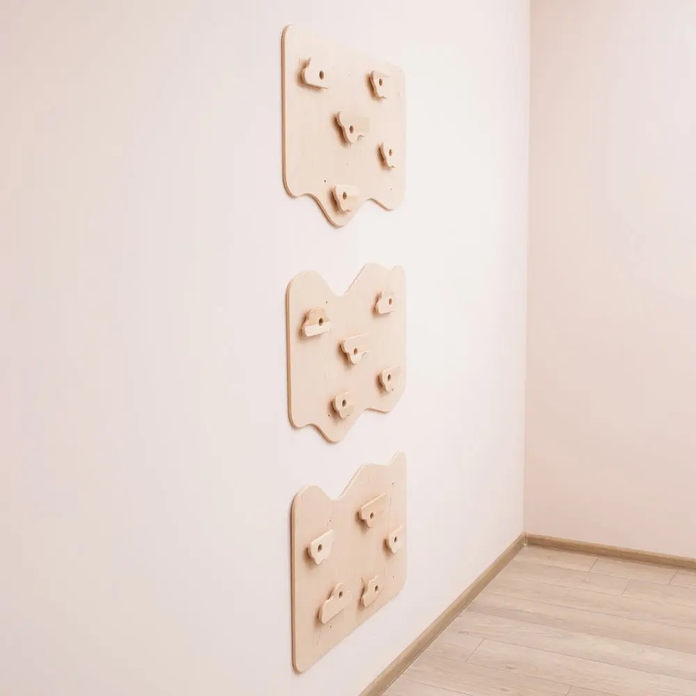 Home Climbing Wall
