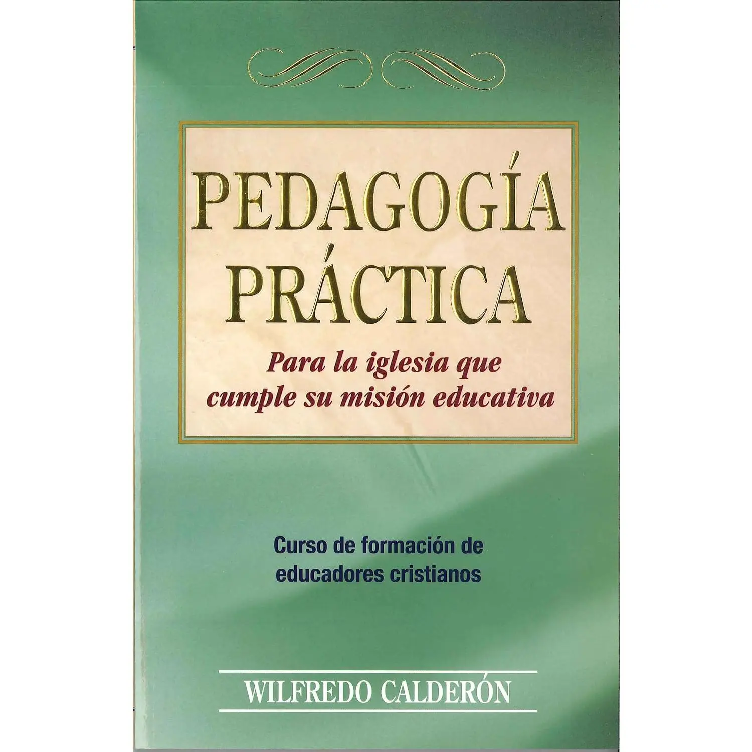 Pedagogia Practica para la iglesia que cumple su mision educativa