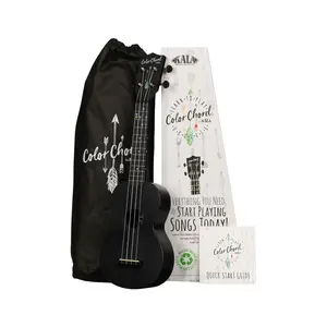 Kala Learn To Play Recycled Color Chord™ Ukulele Starter Kit