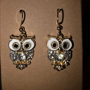 Stainless Steel Owl Earrings
