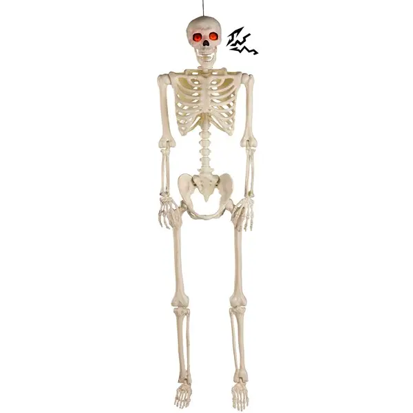Deluxe Flaming Light Up Eyes & Talking Skeleton Decoration