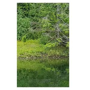 USED-Tahsis Inlet Outlet Revival Anthology 2020 Black and white Edition: Green Antler presents 2020 collected works by Fowler, Sarah (Paperback)