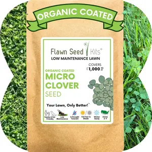 Flawn Seed Micro Clover Seed - Compact Lawn Solution for All Seasons - Easy Installation & Benefits - Kid & Pet Friendly - Organic Coated Lawn Seed