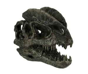 Dilophosaurus Dinosaur Head Fossil Statue Small