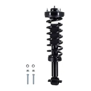 Fcs Auto Strut And Coil Spring Assembly 1345798l 1pc