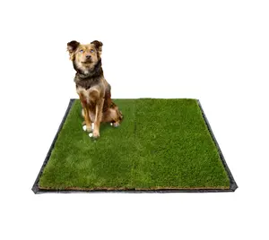 XXL DoggieLawn Real Grass Potty Pad – Odor Neutralizing And Sustainable Pet Solution