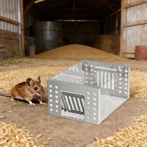 2pcs Silver Metal Rat Trap Cage, One-Way Door Design for Safe Rodent Control