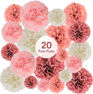 Epiqueone 20 Piece Tissue Paper Pom Poms | Blush Pink, Dusty Rose, Mauve & Cream | Colorful Paper Flower Wall Decorations for Bridal Showers, Baby Showers, Weddings, Graduations, Tea Parties & More EPIQUEONE