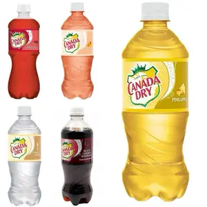 Canada Dry 5 Pack Assorted Exotic Fruit Flavored Soda Pop 20oz