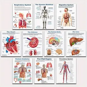 10pcs/set frameless anatomy of vital organs of the human body Brain, liver, heart, kidney, anatomical poster, respiratory system oil painting, wall painting, biology education, home school decoration